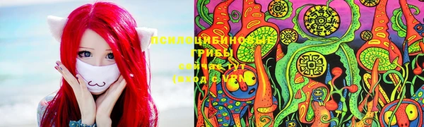ALPHA PVP Магадан