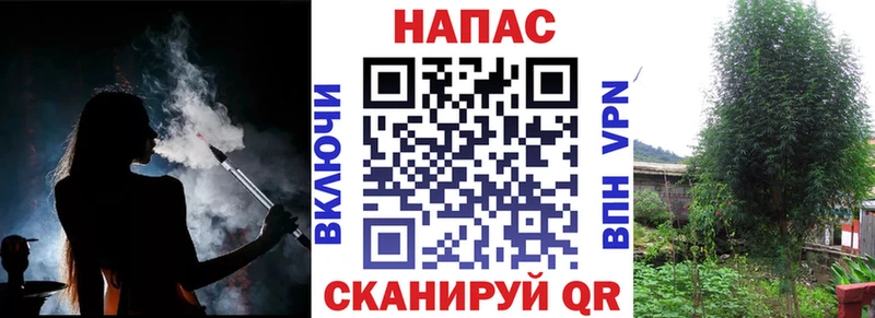 Бошки Шишки Bruce Banner  купить  сайты  Верхоянск 